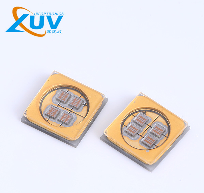 不同宠物品种适配宠物理疗毯 LED 光源有何差异 不同宠物品种适配宠物理疗毯 LED 光源有何差异
